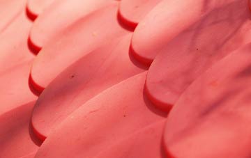 Pont plastic roof costs