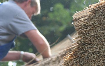 professional Pont thatchers